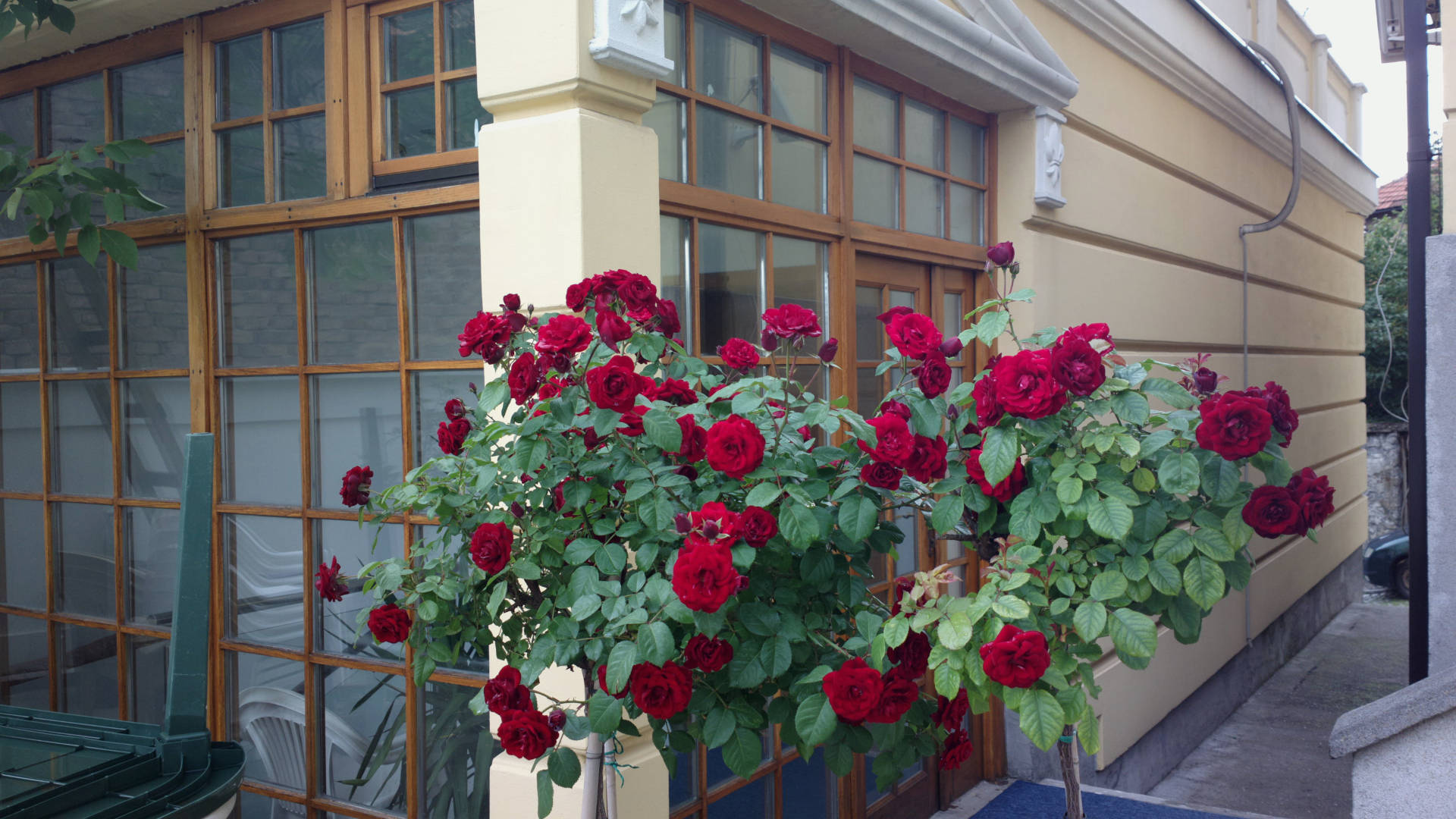 img-0016